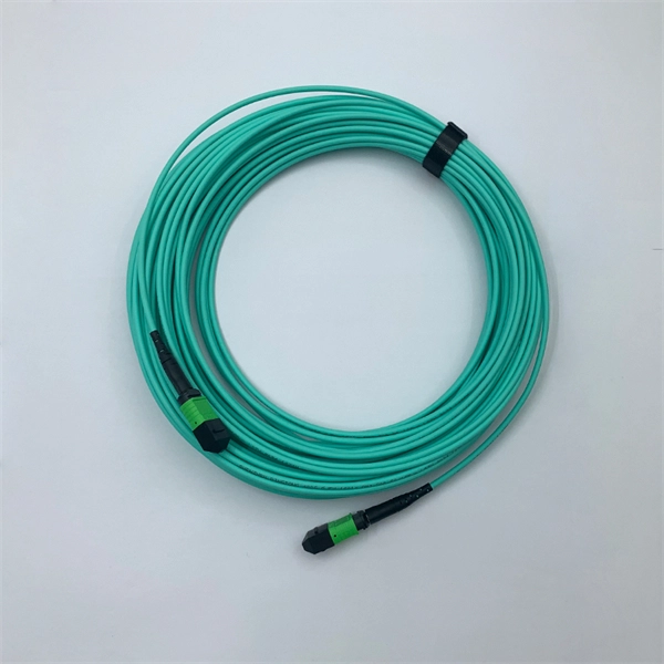 Building under telecommunications fiber optic cables